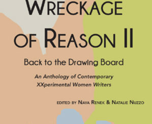 Wreckage of Reason, contemporary experimental women writers,